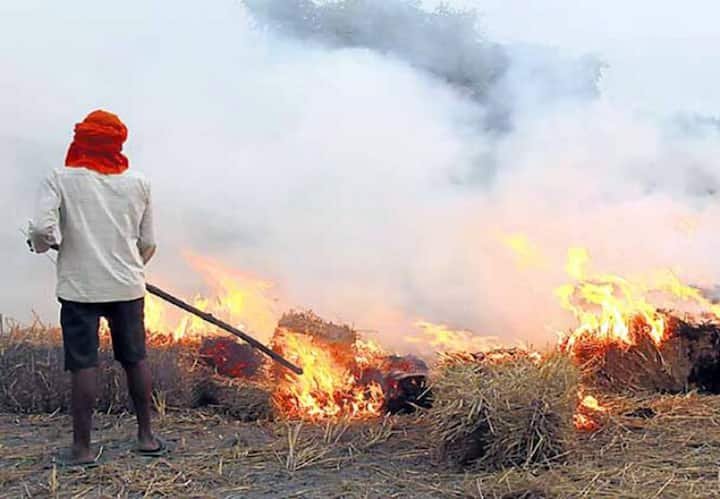 यूपी में 65 प्रतिशत तक घटीं पराली जलाने की घटनाएं