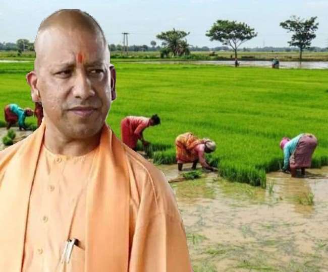 इंटरनेशनल ट्रेड शो में दिखेगी उत्तर प्रदेश की उन्नत कृषि संस्कृति
