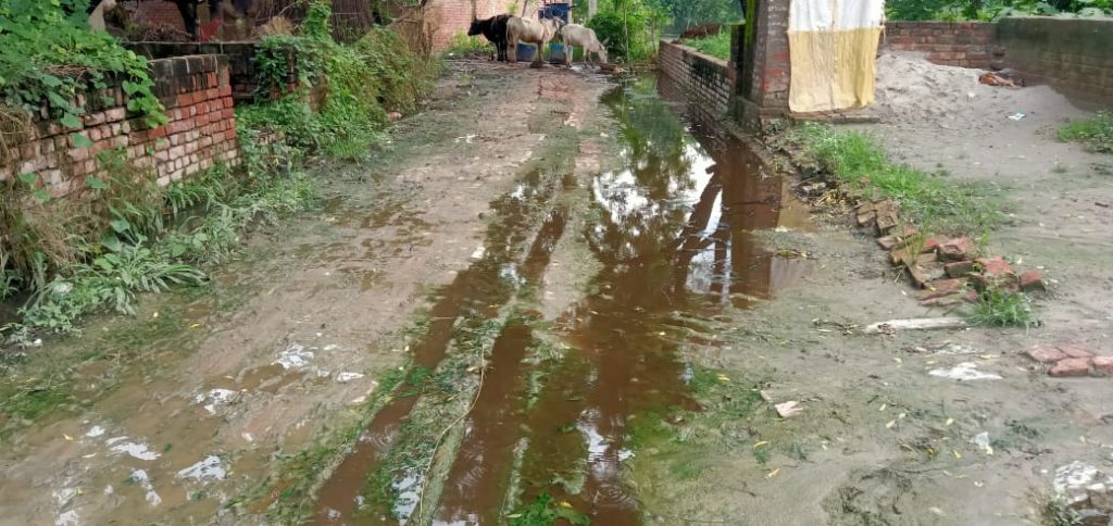 भदेवरा के खड़ंजे की स्थिति में अनदेखी, स्कूल के बच्चों को हो रही दिक्कत