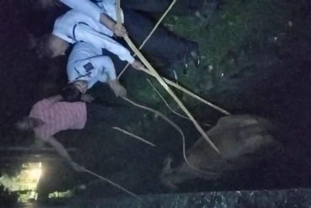 मानवता की मिसाल: बेजुबान की बचाई जान